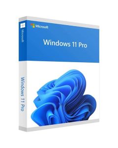 MICROSOFT Windows 11 Professional
